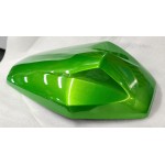 Kawasaki Z H2 Gold Blazed Green Cowl